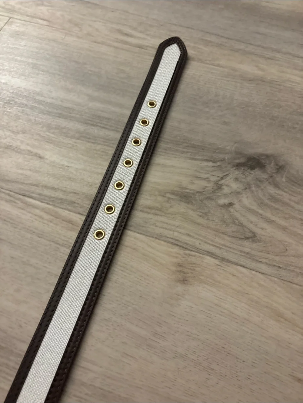 Jason Wu JB112601 White Brown Cognac Belt NWT Small